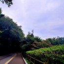 인사동두부마을 이미지