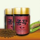 둥지곤충나라