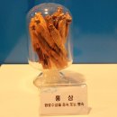 금산홍삼엑스포