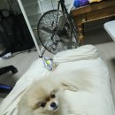 살롱드송송 이미지