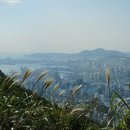 패밀리게임랜드 이미지