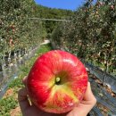 햇터농장 이미지