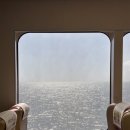 모니카애견 이미지