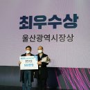 세라메디칼의료기기 머니투데이