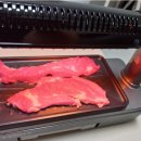 자이글 | 자이글 파티 그릴 후기 장점 가격 최저가 정보