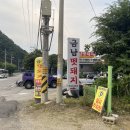 금남멧돼지 이미지