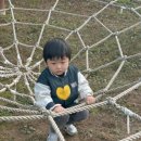 숲어린이집 | 숲어린이집에서 숲활동 후기