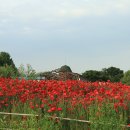 진사농장 이미지