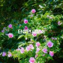 단성면사무소 이미지