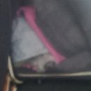 건우동물병원 이미지