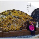 금빛 반달고개 이미지