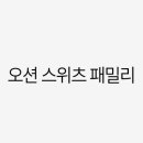 위치스위츠