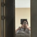 더벤티고신대학병원점 | 구루구루 위고백 벤티 고양이 이동장 추천 실 사용 후기