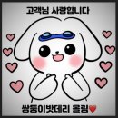 빠른자동차배터리출장교체 이미지