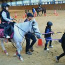 순창군승마장 이미지