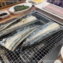 단관민물장어 이미지