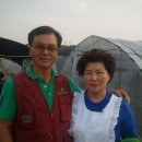 여러가지장터 이미지