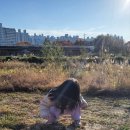 채은피아노 이미지