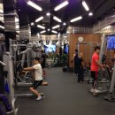 PHYSICAL GYM 이미지