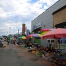 양양5일장 이미지