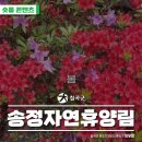 송정3길 14-1 이미지