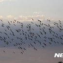 김제앵글 뉴시스