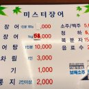 미스터장어