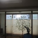 오토스크린 이미지