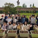 율동초등학교 이미지