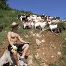 숲속이야기민박 이미지