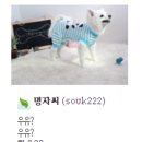 멋지개 예쁘개 | 스타일멍멍/ 명자씨네 후기상_브라이트바이트