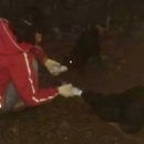 이미순「달」 이미지