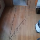 하우스마루 이미지