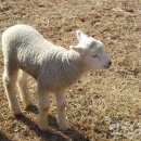 늘솔길공원1 이미지