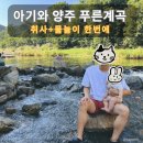 모아쉼터 | [아기와 서울근교 계곡 나들이] 양주 ‘푸른계곡’ 쉼터 내돈내산 당일 방문 후기