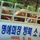 소떼농장 이미지