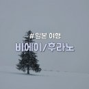[일본/홋카이도] 1월 겨울 삿포로 근교 여행 &#34;비에이 후라노 투어&#34; 일정 경비 맛집 정보 공유