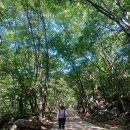 직전마을 이미지