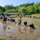 반디모아 이미지