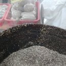 산초기름집