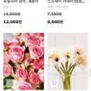 플라워시티