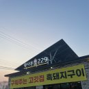 광사돈229
