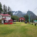 하이디코리아 이미지