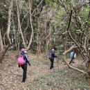 신풍교차로 1 이미지