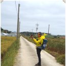 신월선착장 이미지