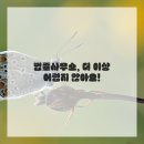 멘토로법률사무소
