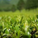 세라톤보청기 이미지