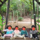 구립새롬어린이집 이미지