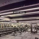 VIP Gym 이미지
