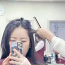 새로나헤어 네이버블로그